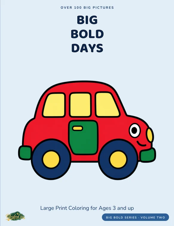 Cover of Big Bold Days
